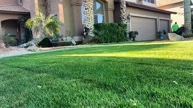 Freshly mowed lawn at a home in Gilbert, Arizona.