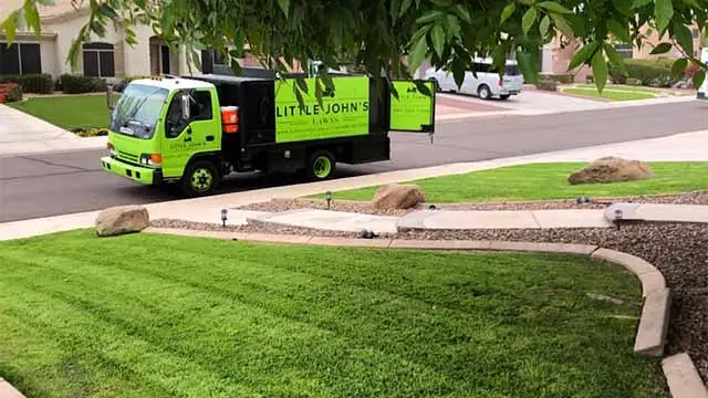 Mesa, AZ yard with yard cleanup services.